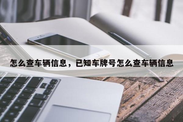 怎么查车辆信息，已知车牌号怎么查车辆信息-第1张图片-慕熙生活网