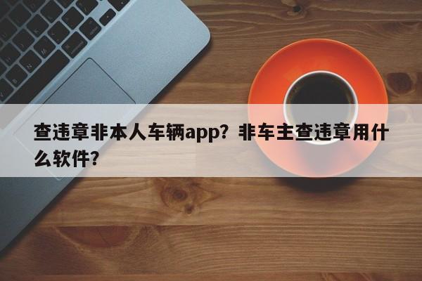 查违章非本人车辆app？非车主查违章用什么软件？-第1张图片-慕熙生活网