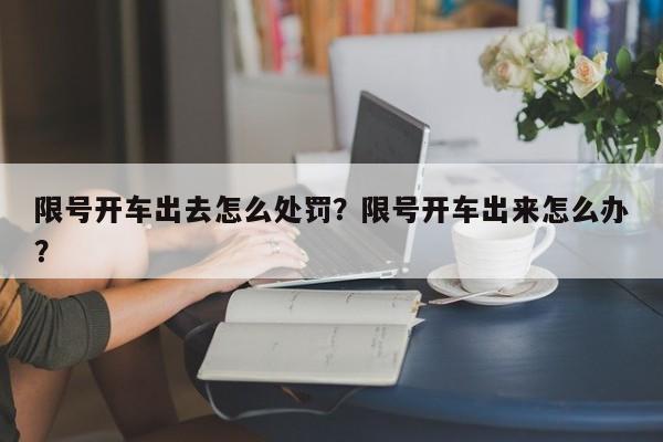 限号开车出去怎么处罚？限号开车出来怎么办？-第1张图片-慕熙生活网