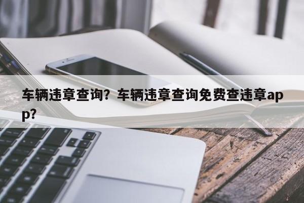 车辆违章查询？车辆违章查询免费查违章app？-第1张图片-慕熙生活网